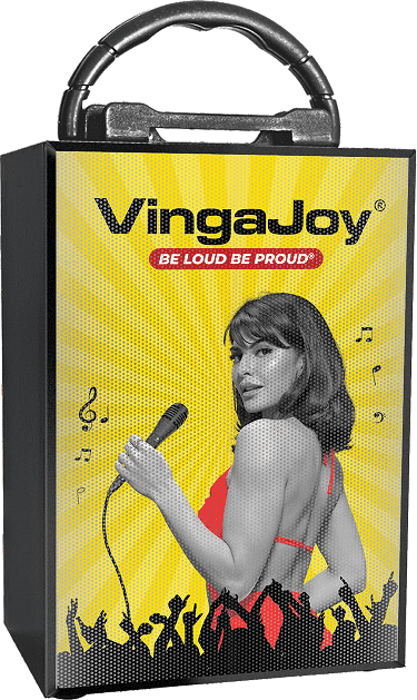 VingaJoy newly launched SP 15 BEATBOX Wireless Speaker
