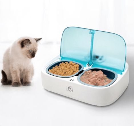 Baybot launches ‘Wet Dry PetFeeder Smart Pet Tech Feeder