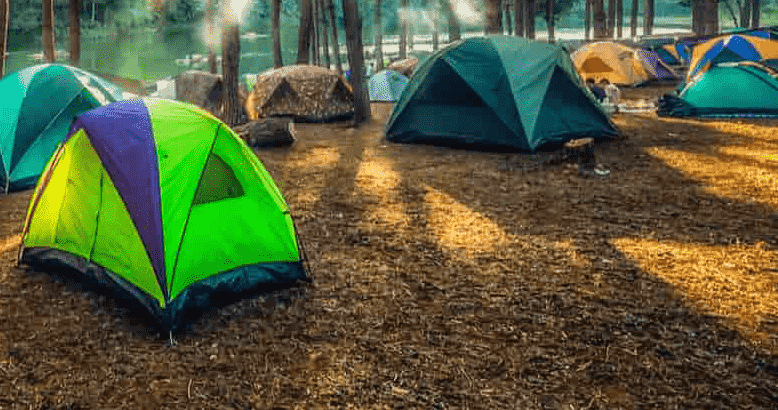 Camping Destinations for New Year Eve